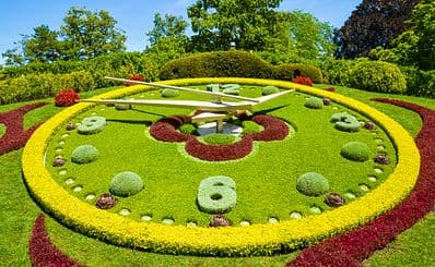 The Flower Clock
