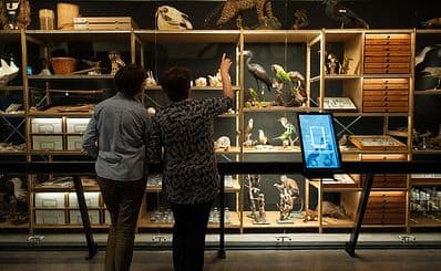 Natuurmuseum Brabant - Tilburg