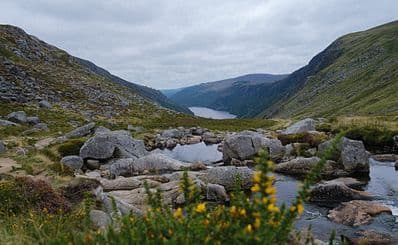 Wicklow Mountains National Park