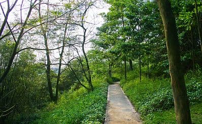 Baiyun Shan (White Cloud Mountain) / 白云山