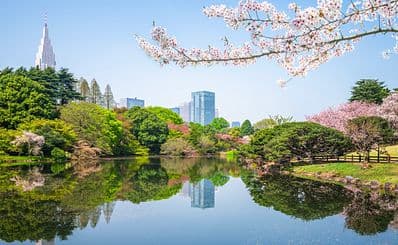 Shinjuku Gyoen National Garden