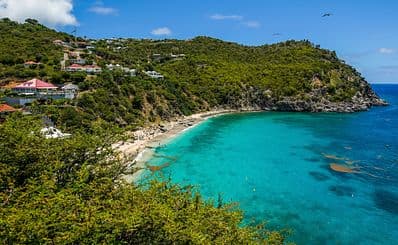 Shell Beach