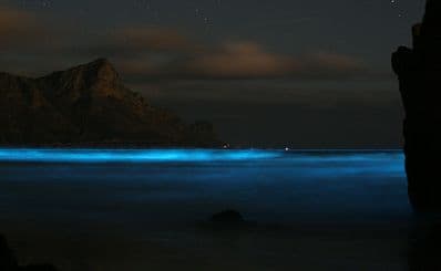 Luminous Lagoon