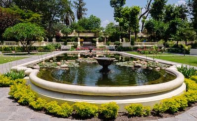 Garden of Dreams