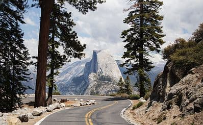 Yosemite & Giant Sequoias Day Trip from San Francisco