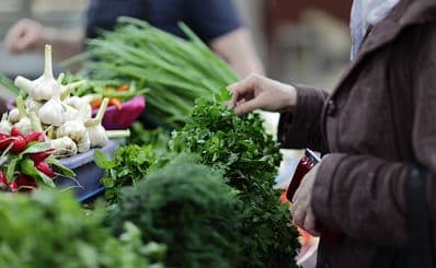 Willows Weekend Markets