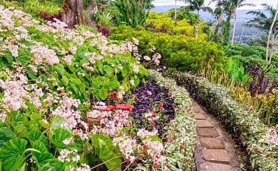 The Summit Gardens