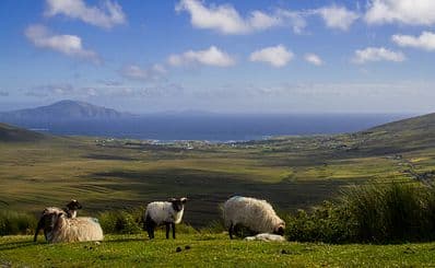 Achill - Acaill