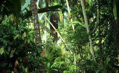 Oloolua Nature trail