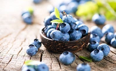 Rangeley Blueberry Festival