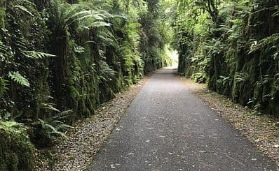 Waterford Greenway