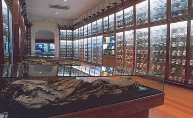 El Museo Canario