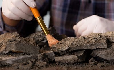 National Museum of Ireland — Archaeology