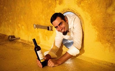Big Guy's Wine Tours