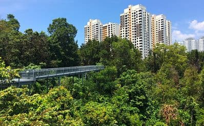 The Southern Ridges