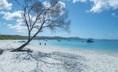 Whitehaven Beach