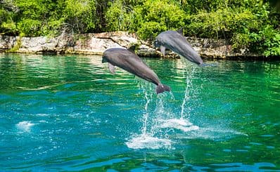 Eco Parks & Tours