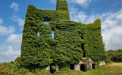 Menlo Castle