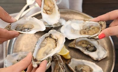 Wildfish Seafood Grille