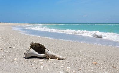 Cayo Costa Island State Park