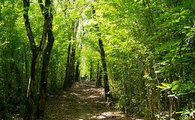 Route de la Trace