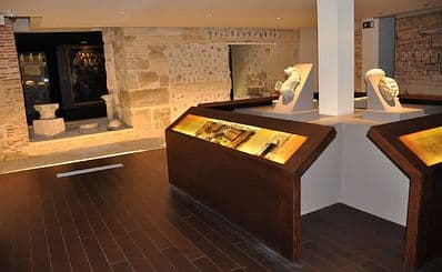 Museo Alma Mater