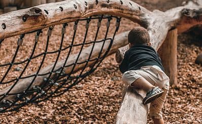 Wilderness Playground