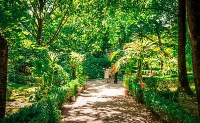 Botanischer Garten