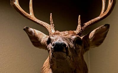 History Jackson Hole | Jackson Hole History Museum