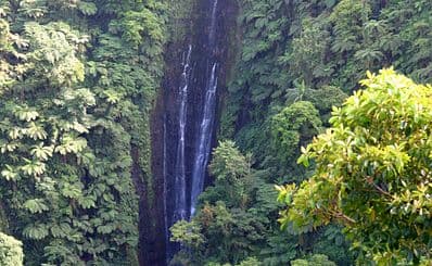 Papapapai-Tai Falls
