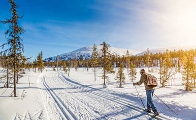 Cross Country Skiing in Dalarna