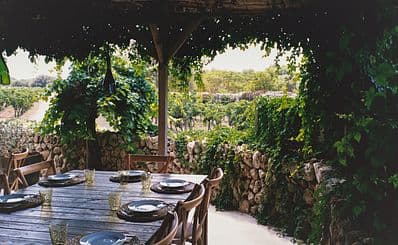 Bodegas Binifadet
