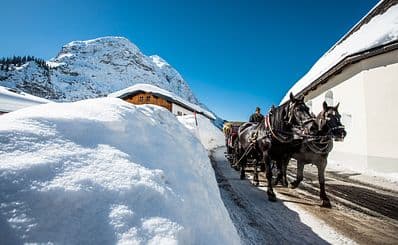 Horse drawn sleigh rides