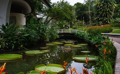 Singapore Botanic Gardens & National Orchid Garden