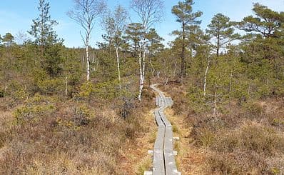 Djurholmen strövområde