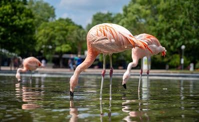 Dortmund Zoo