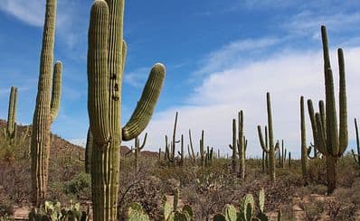 Spur Cross Ranch Conservation
