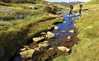 Australian Alps Walking Track