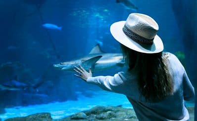 Istanbul Aquarium