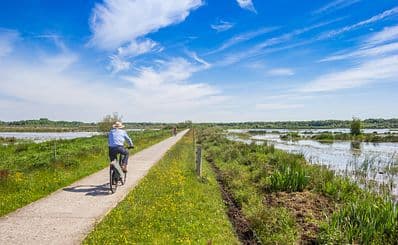 Bike Rental