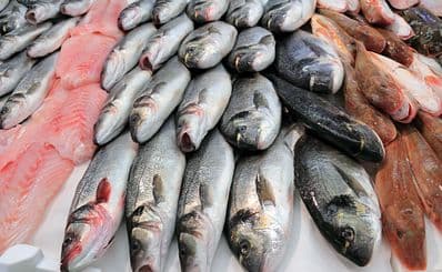 Fish Market
