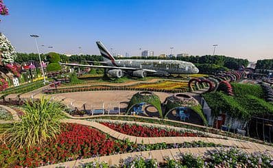 Dubai Miracle Garden