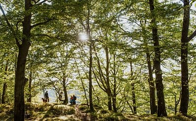Söderåsen National Park