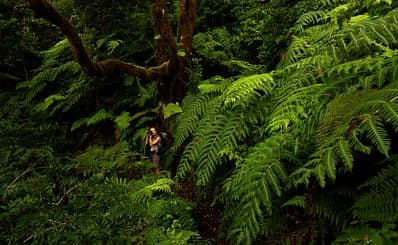 Anaga Rural Park