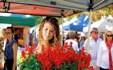 Ballina Farmers & Producers Market