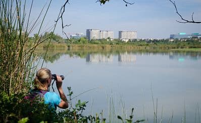 San Joaquin Marsh & Wildlife Sanctuary