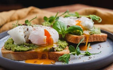 Avocado Grill