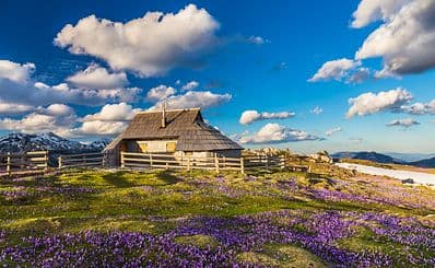 Velika Planina