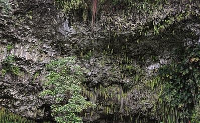 Fern Grotto