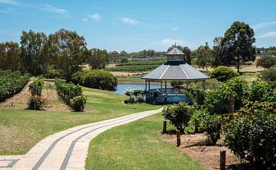Swan Valley Vineyards